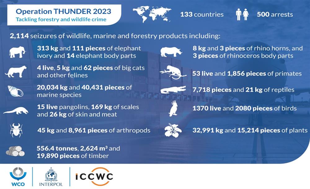 Các kết quả của Chiến dịch Thunder 2023.