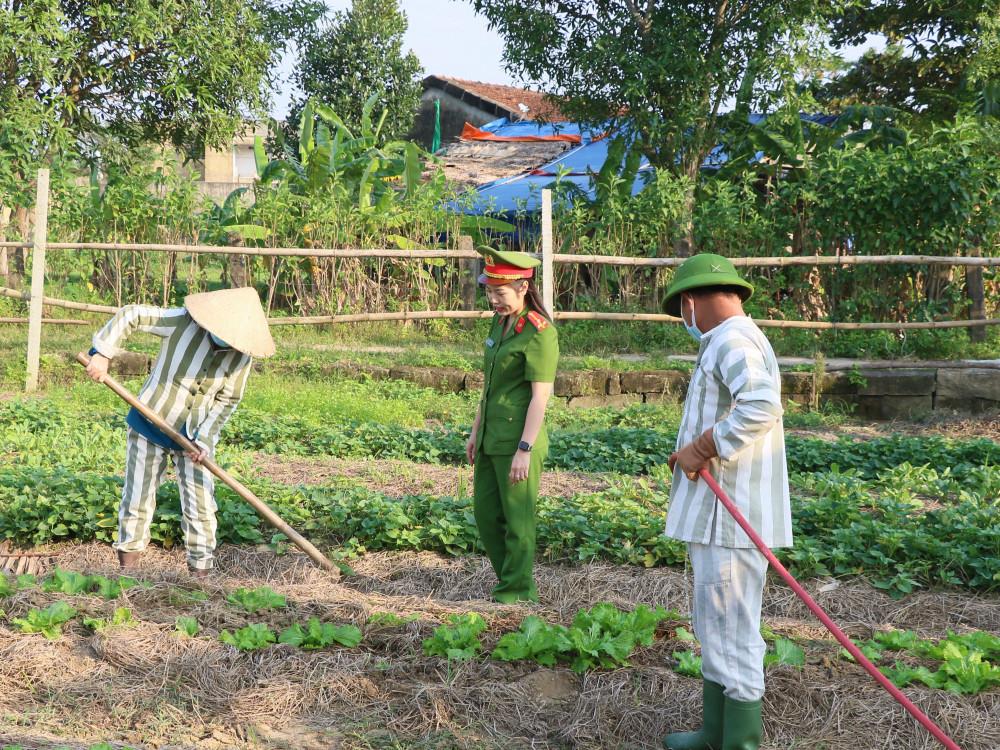 Cán bộ quản giáo đồng hành với những mảnh đời lầm lỗi trở về nẻo thiện.