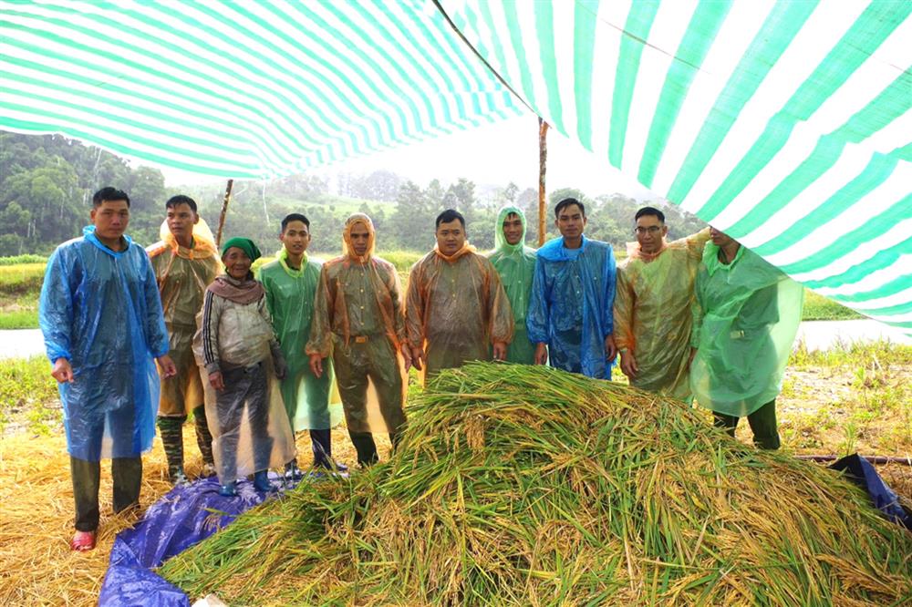Công an xã Đăk Plô giúp đỡ hộ dân có hoàn cảnh khó khăn thu hoạch lúa.