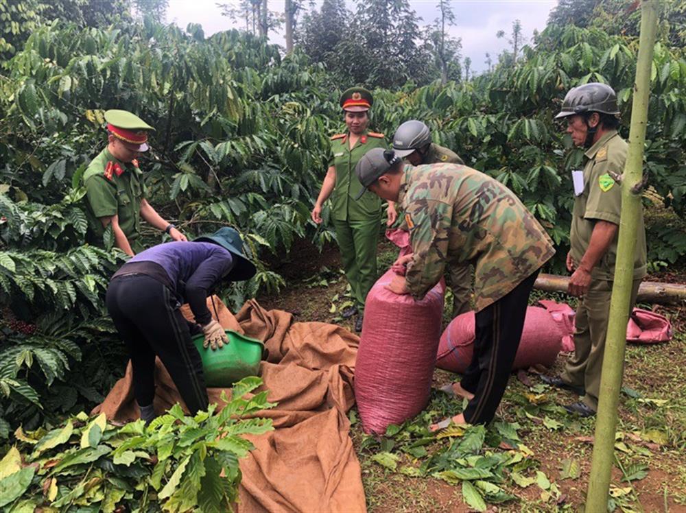 Lực lượng Công an xã trên cao nguyên Đắk Nông phát huy vai trò nòng cốt trong công tác bảo đảm ANTT ở cơ sở.