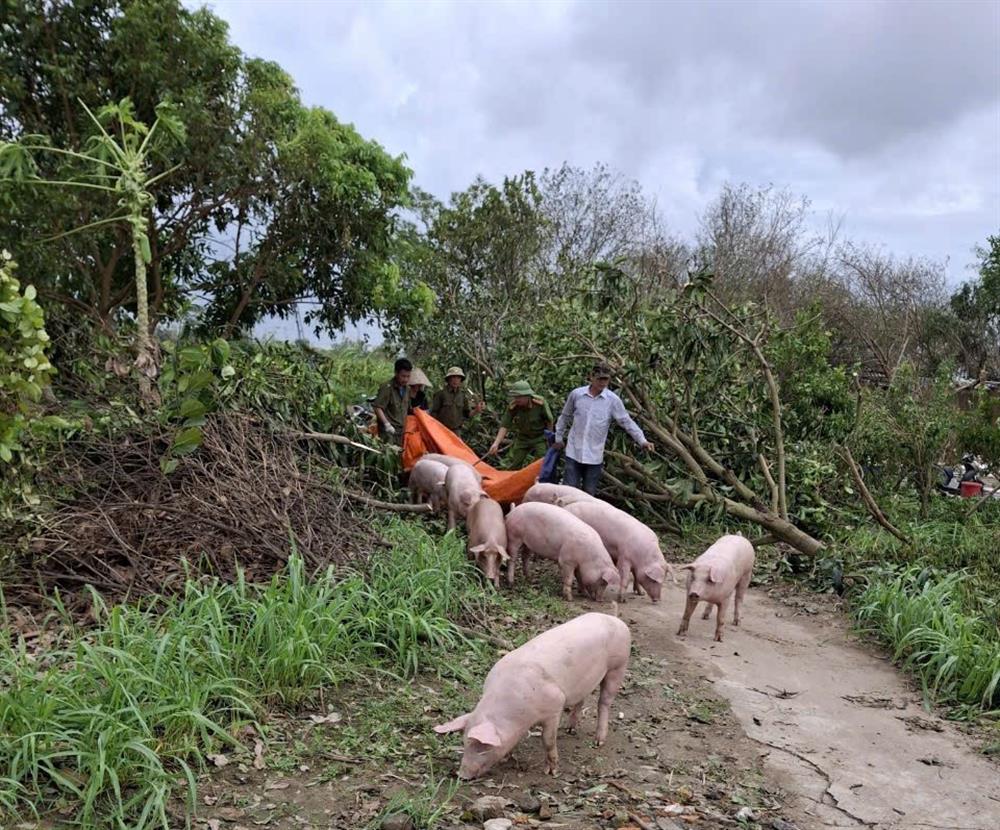 Công an Nam Sách hỗ trợ bà con di chuyển vật nuôi đến nơi an toàn.