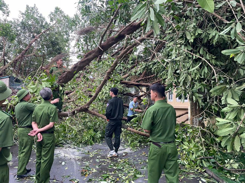 Cán bộ, chiến sĩ CSCĐ dọn dẹp cây gãy đổ, làm thông thoáng đường phố. 