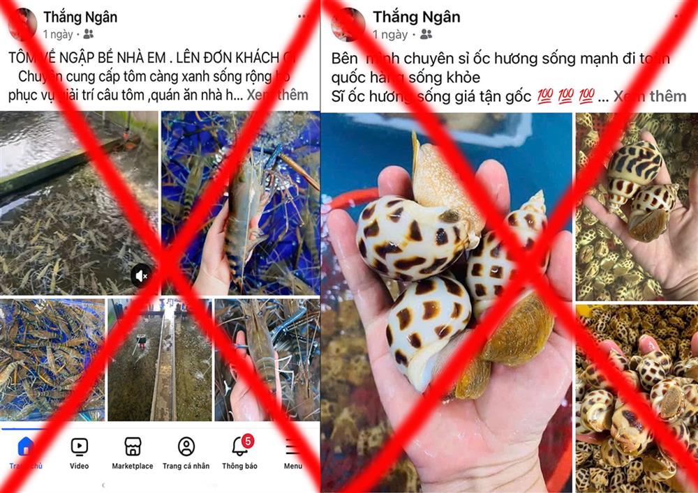 Trang facebook đối tượng lập để lừa bán hải sản online.