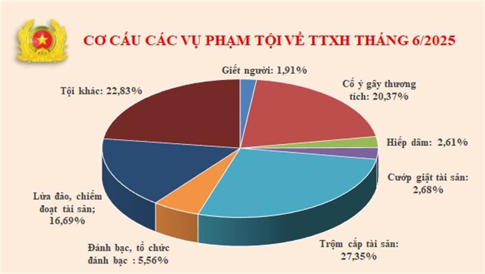 Biểu đồ cơ cấu tội phạm về trật tự xã hội tháng 6/2025.